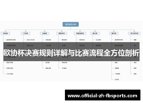 欧协杯决赛规则详解与比赛流程全方位剖析