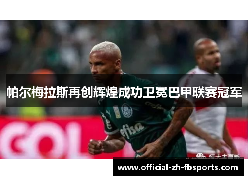 帕尔梅拉斯再创辉煌成功卫冕巴甲联赛冠军 帕尔梅拉斯再创辉煌成功卫冕巴甲联赛冠军